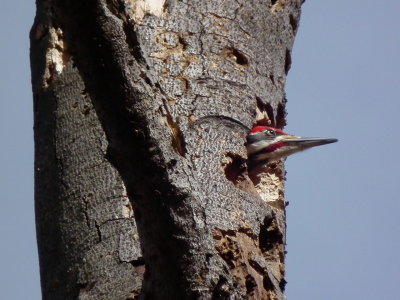 DSCF6214.JPG