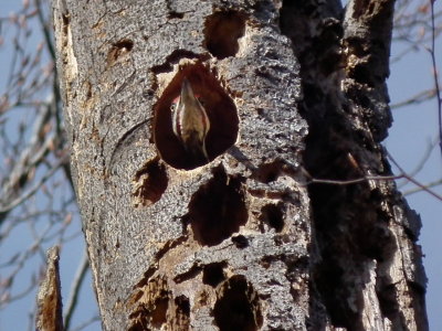 DSCF6218.JPG