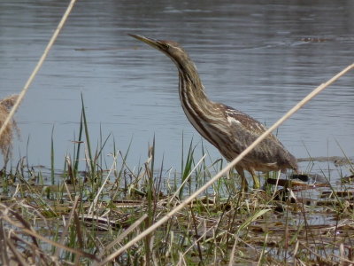 DSCF6562.JPG
