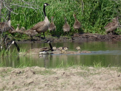 DSCF7055.JPG