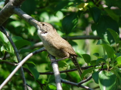 DSCF7876.JPG