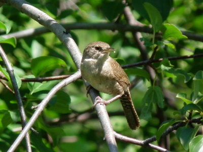DSCF7877.JPG