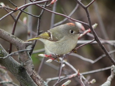 DSCF0633.JPG
