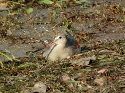 DSCF9862.JPG