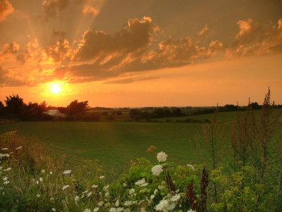 DSCF2120.JPG