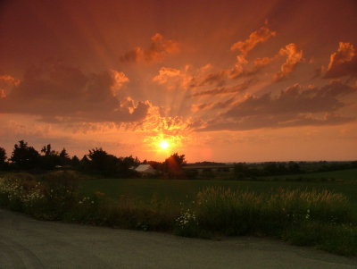 DSCF2130.JPG