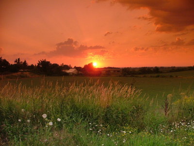 DSCF2153.JPG