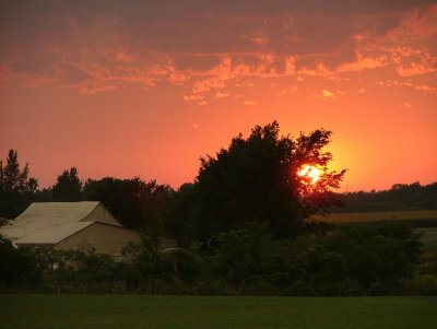 DSCF2162.JPG