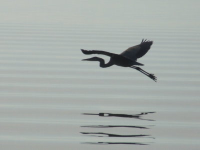DSCF4668.JPG