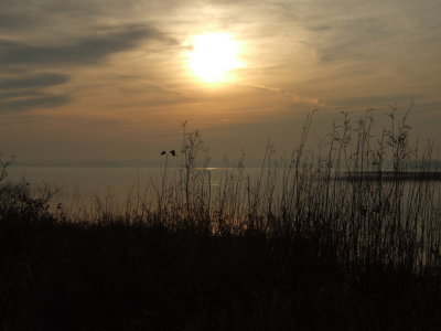 DSCF4681.JPG