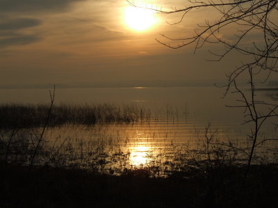 DSCF4685.JPG