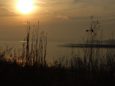 DSCF4689.JPG