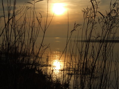 DSCF4691.JPG