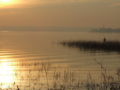 DSCF4699.JPG