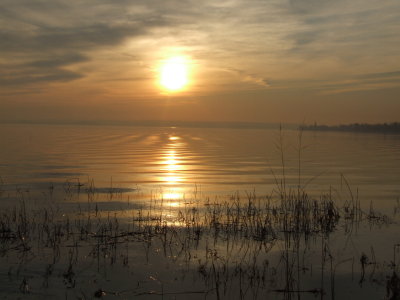 DSCF4702.JPG