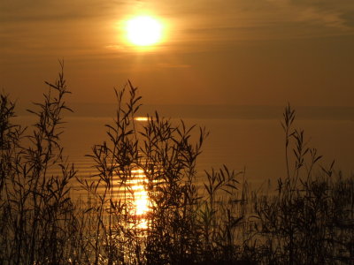 DSCF4708.JPG