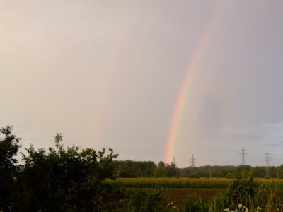 DSCF9115.JPG