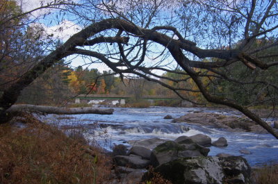 IMGP3221.JPG