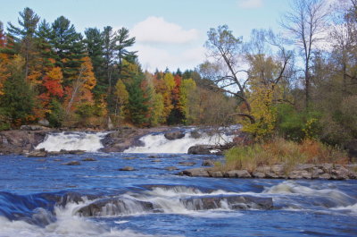 IMGP3224.JPG