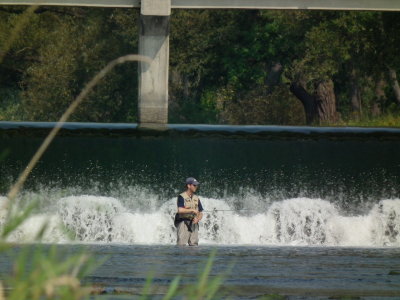 DSCF2992.JPG