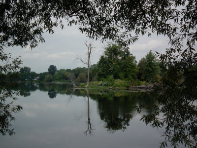 DSCF3083.JPG