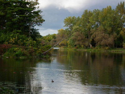 DSCF3590.JPG