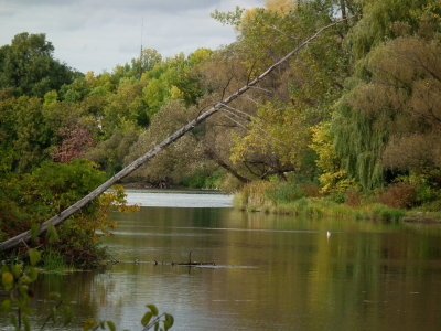 DSCF3593.JPG