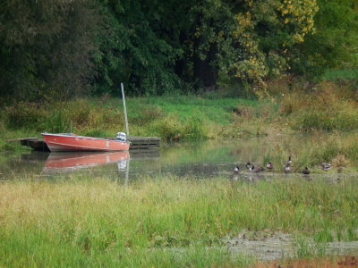 DSCF3684.JPG