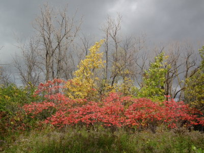 DSCF3714.JPG