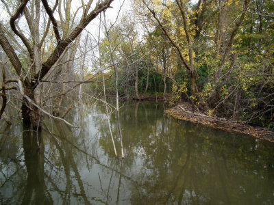DSCF3716.JPG