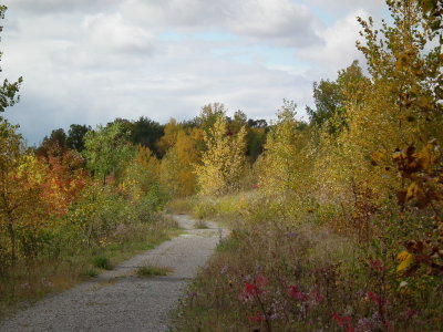 DSCF3724.JPG