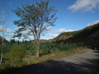 DSCF3832.JPG
