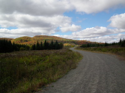 DSCF3877.JPG