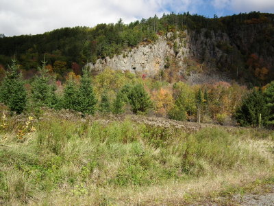 DSCF3930.JPG