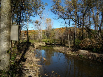 DSCF4222.JPG