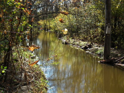 DSCF4224.JPG