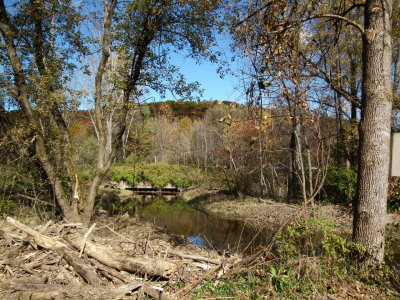 DSCF4248.JPG