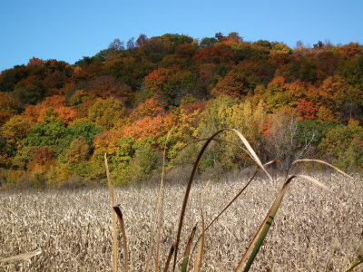 DSCF4268.JPG