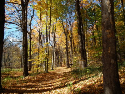 DSCF4483.JPG