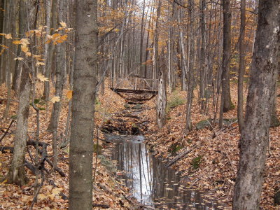 DSCF4491.JPG