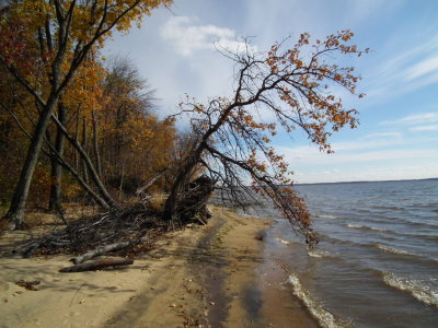 DSCF4565.JPG