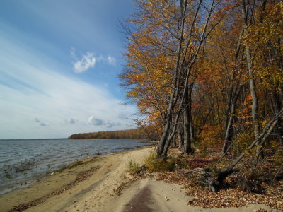 DSCF4573.JPG