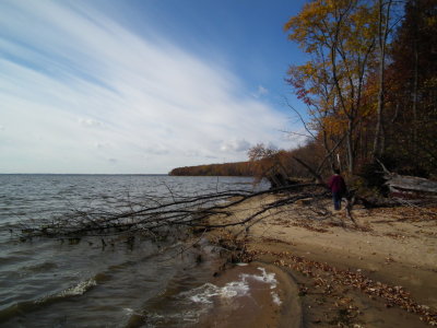 DSCF4580.JPG