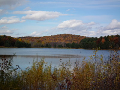 DSCF4589.JPG