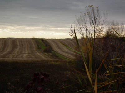 DSCF4712.JPG