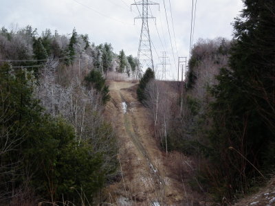 DSCF6343.JPG