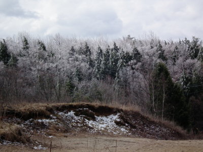 DSCF6362.JPG
