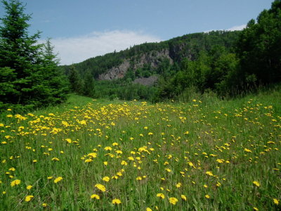 DSCF7146.JPG