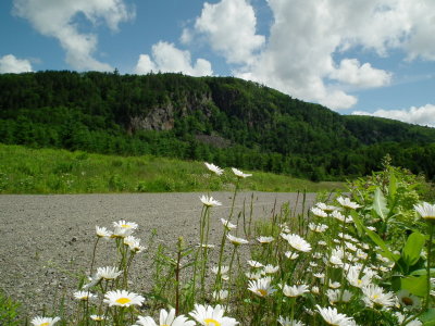 DSCF7378.JPG