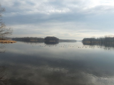 DSCF0563.JPG